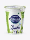 DairyLand Dahi, 400g